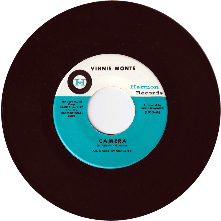 Vinnie Monte - Camera / It's The End (Promo)