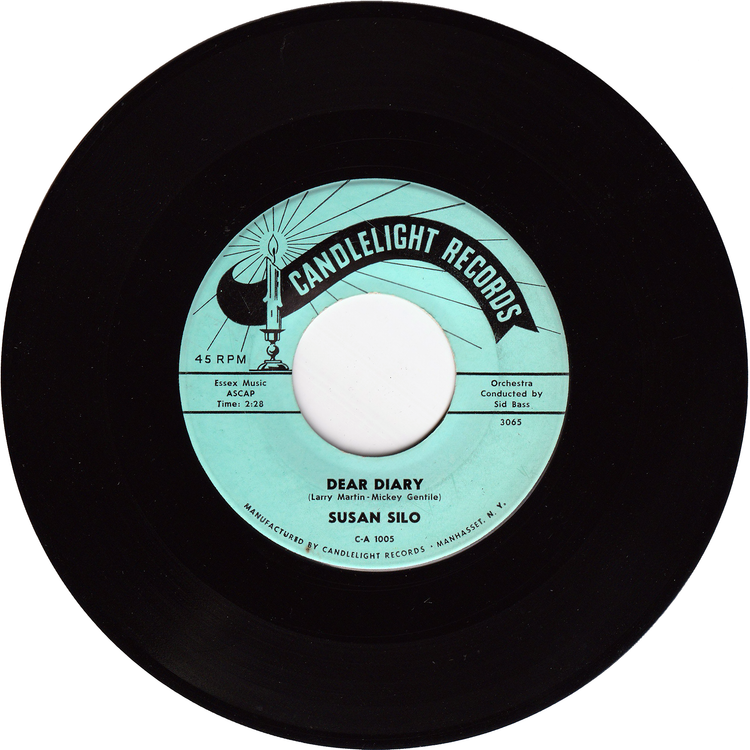 Susan Silo - Dear Diary / Don't Ever Cheat