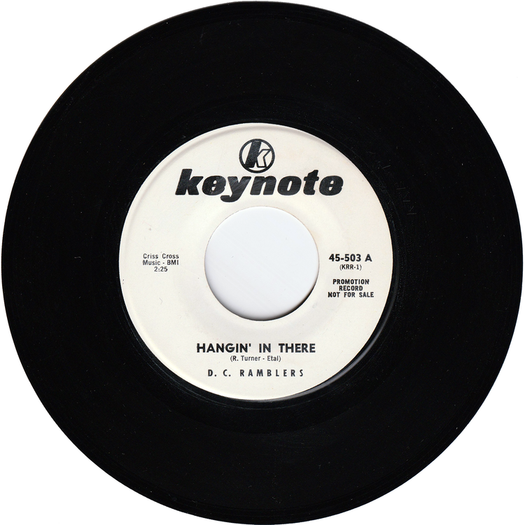 D. C. Ramblers - Hangin' In There / Steppin' In There (Promo)