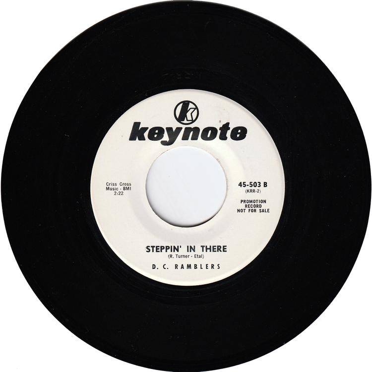 D. C. Ramblers - Hangin' In There / Steppin' In There (Promo)