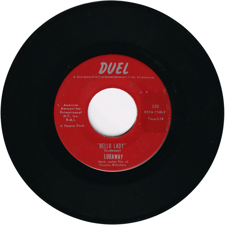 Ludaway - The Pig / Hello Lady