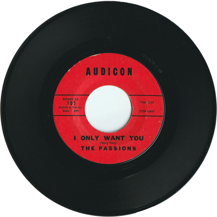 The Passions - I Only Want You / This Is My Love