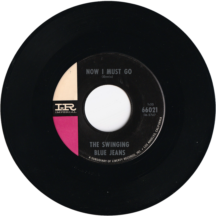 The Swinging Blue Jeans - Hippy Hippy Shake / Now I Must Go