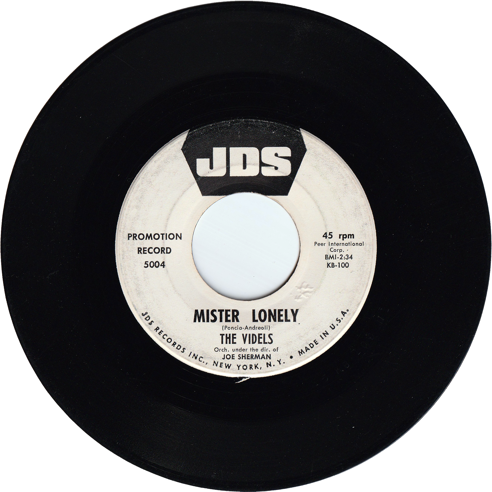 The Videls - Mister Lonely / I'll Forget You – NIGHT BEAT