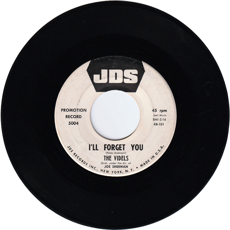 The Videls - Mister Lonely / I'll Forget You
