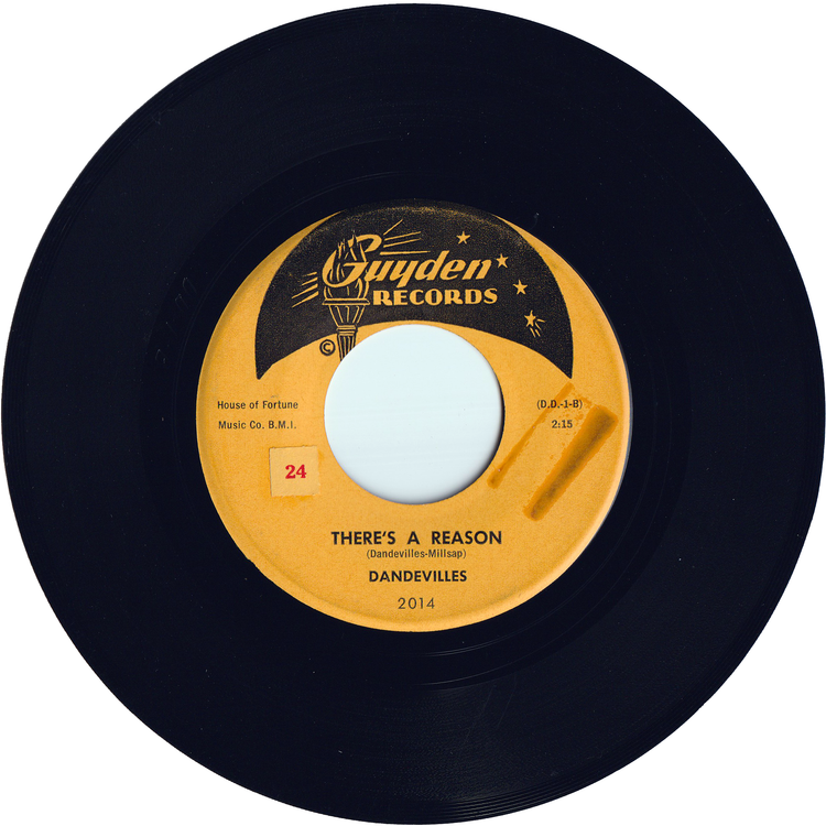 Dandevilles - Nasty Breaks / There's A Reason