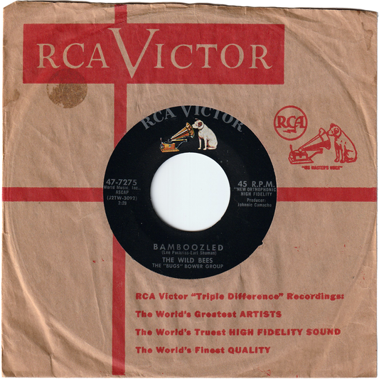 The Wild Bees - Bamboozled / Doctor Rock