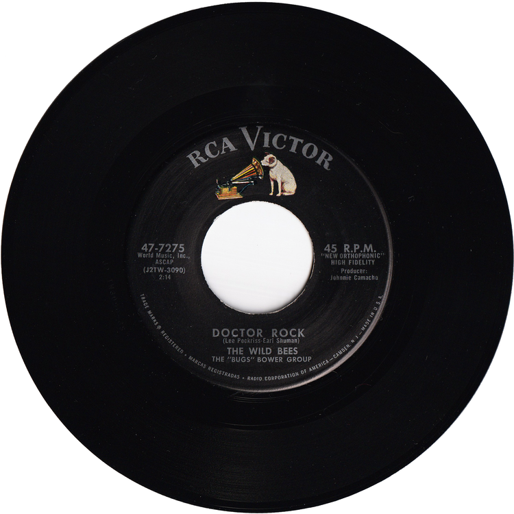 The Wild Bees - Bamboozled / Doctor Rock