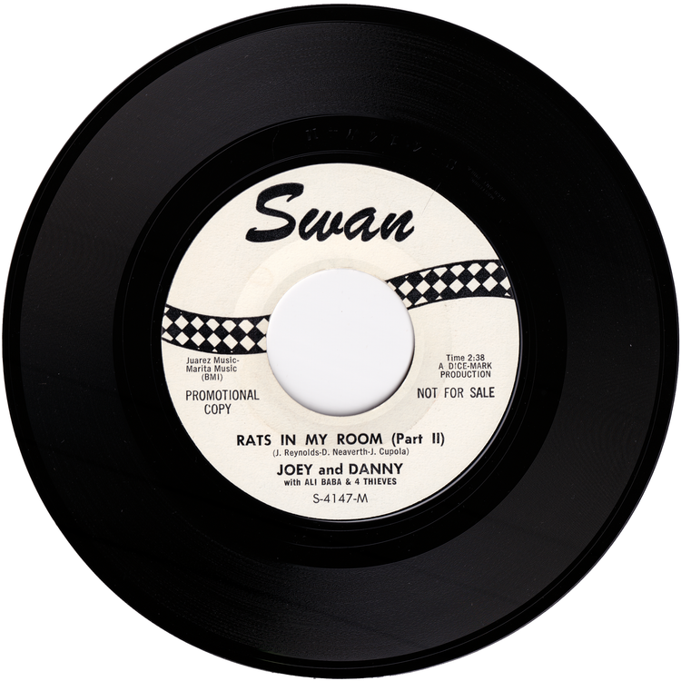 Joey & Danny - Rats In My Room Part 1 / Rats In My Room Part 2 (Promo)