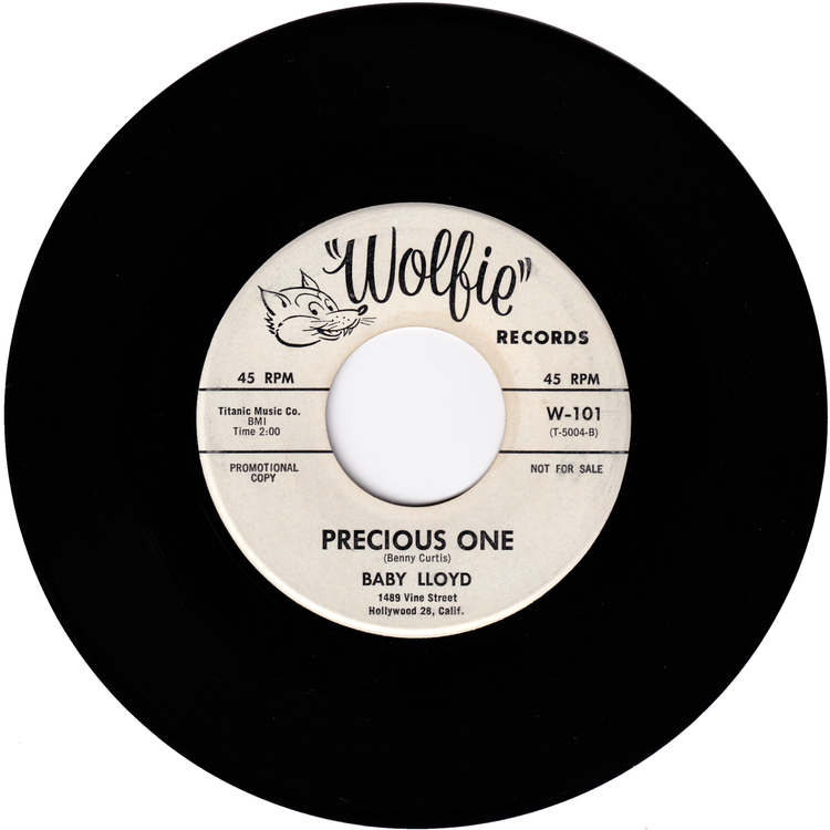 Baby Lloyd - I Refuse To Cry / Precious One (Promo)