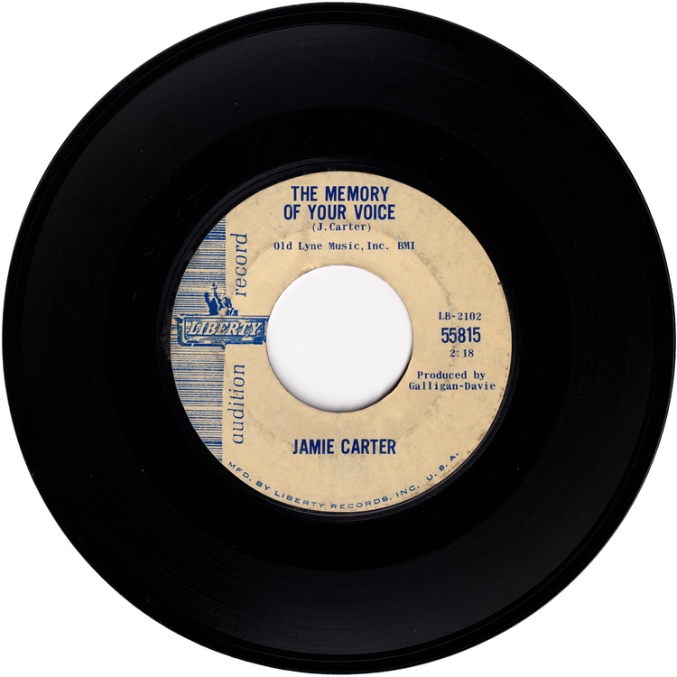 Jamie Carter - The Boy With The Way / The Memory Of Your Voice (Promo)