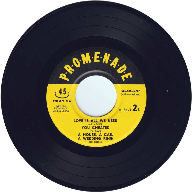 Various - Topsy / Rockin' Robin / To Know Him Is To Love Him + 9 Songs 2 EP (w/PS)