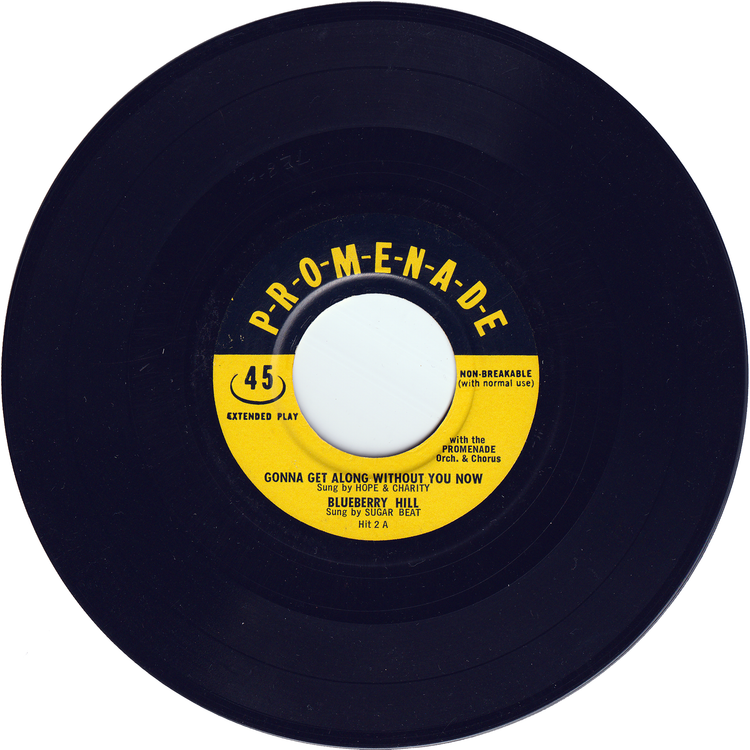 Various - Jim Dandy / Love Is Strange / Blueberry Hill / Blue Monday + 12 Songs 4 EP (w/PS)