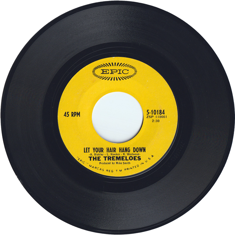 The Tremeloes - Silence Is Golden / Let Your Hair Hang Down