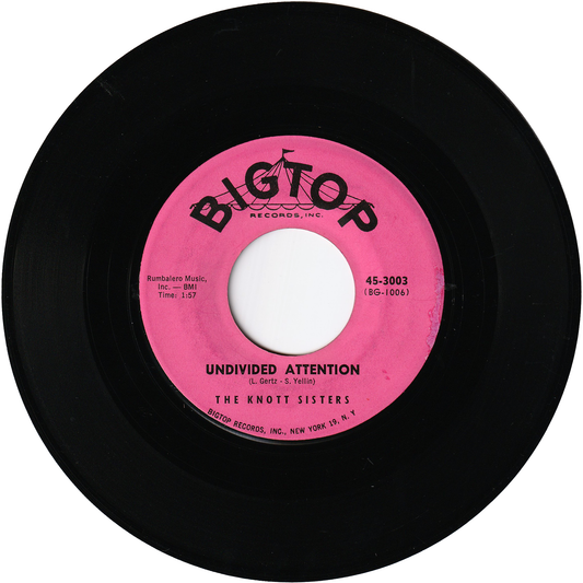 The Knott Sisters - Undivided Attention / The Shades - Sun Glasses