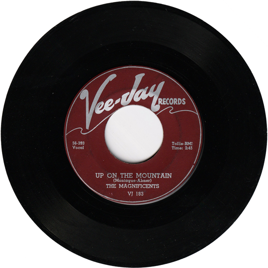 The Magnificents - Up On The Mountain / Why Did She Go