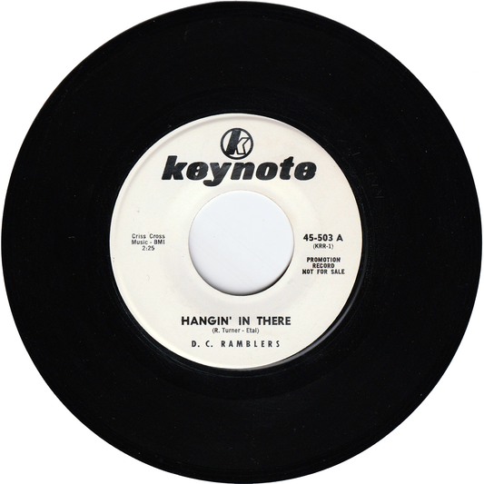 D. C. Ramblers - Hangin' In There / Steppin' In There (Promo)