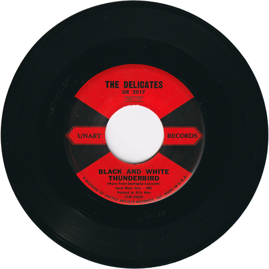 The Delicates - Black & White Thunderbird / Ronnie Is My Lover [Vinyl Press]