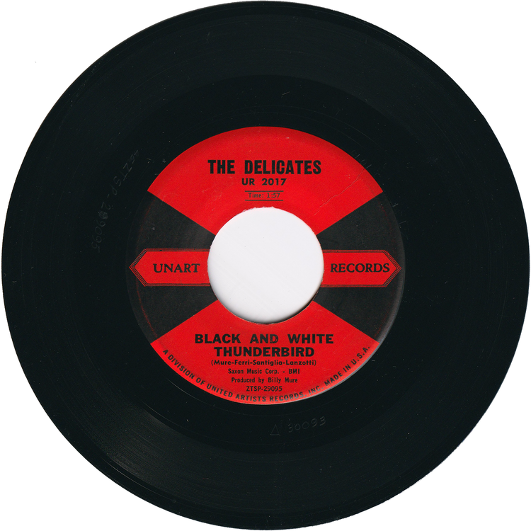 The Delicates - Black & White Thunderbird / Ronnie Is My Lover [Vinyl Press]