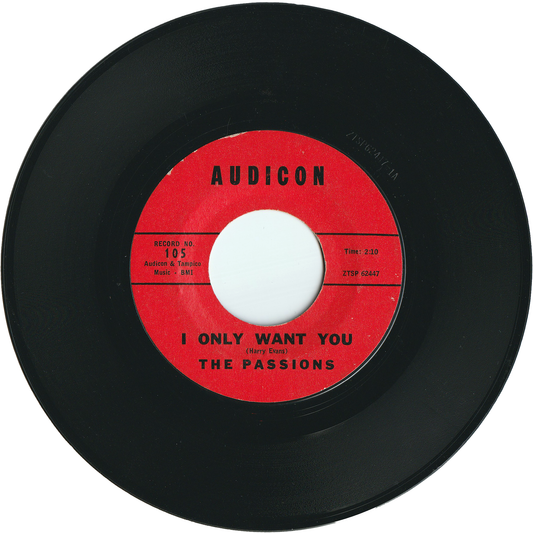 The Passions - I Only Want You / This Is My Love