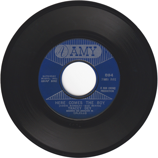 Tracey Dey - Here Comes The Boy / Teddy's The Boy I Love