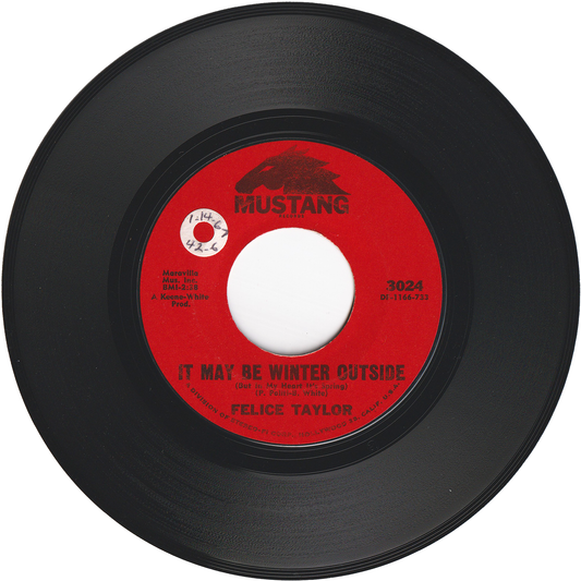 Felice Taylor - It May Be Winter Outside (But In My Heart It's Spring) / Winter Again [Styrene]