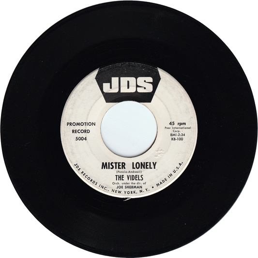 The Videls - Mister Lonely / I'll Forget You