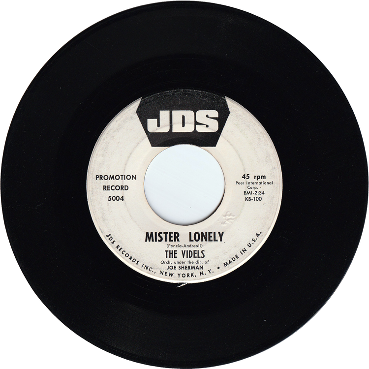 The Videls - Mister Lonely / I'll Forget You – NIGHT BEAT