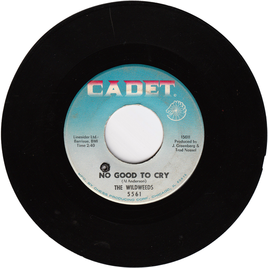 The Wildweeds - No Good To Cry / Never Mind