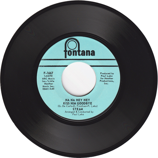 Steam - Na Na Hey Hey Kiss Him Goodbye / It's The Magic In You Girl