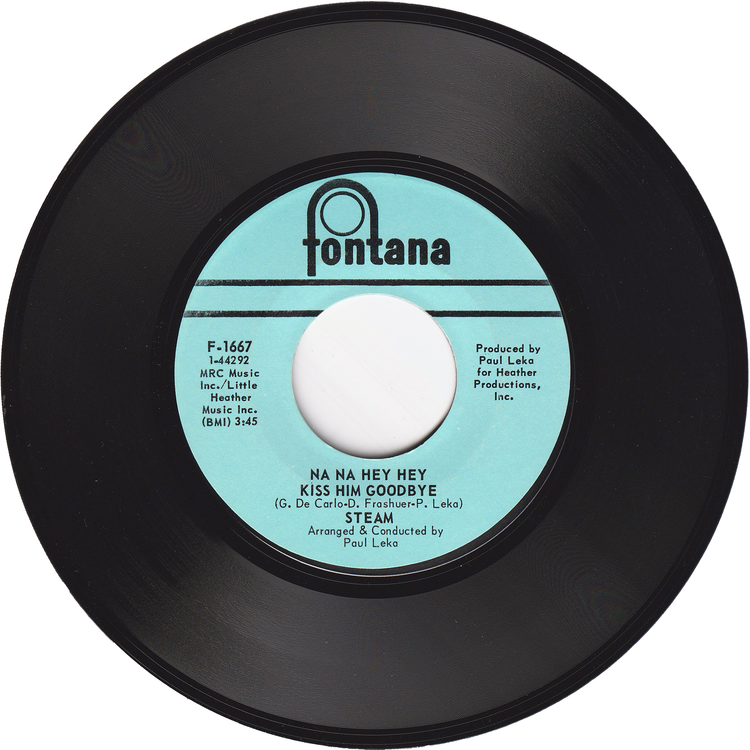 Steam - Na Na Hey Hey Kiss Him Goodbye / It's The Magic In You Girl