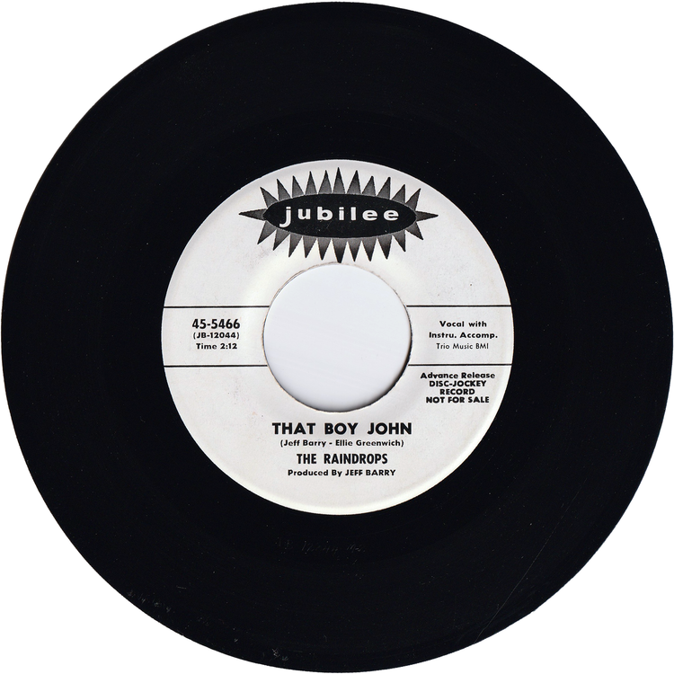 ■シュリンク/高音質USオリジナル盤◾️TOM PETTY and The Hea The Raindrops - Hanky Panky / That Boy John [Promo] – NIGHT