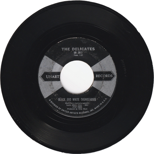 The Delicates - Black & White Thunderbird / Ronnie Is My Lover [Styrene]