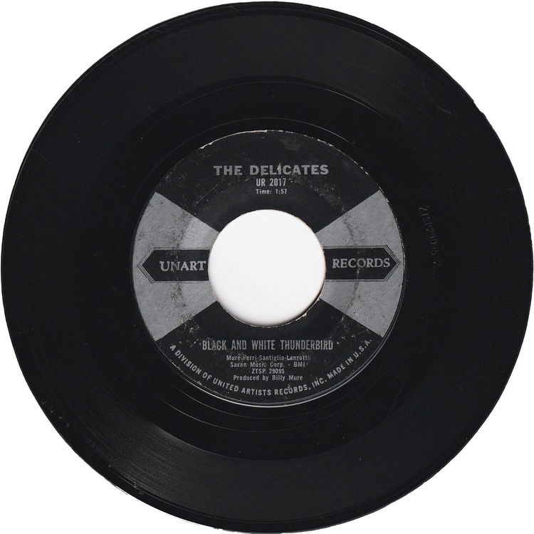 The Delicates - Black & White Thunderbird / Ronnie Is My Lover [Styrene]