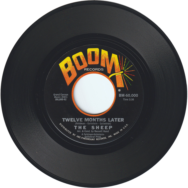 The Sheep - Hide & Seek / Twelve Months Later