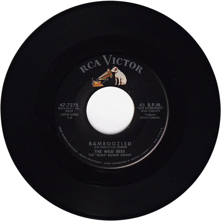 The Wild Bees - Bamboozled / Doctor Rock