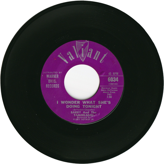 Barry & The Tamerlanes - I Wonder What She's Doing Tonight / Don't Go