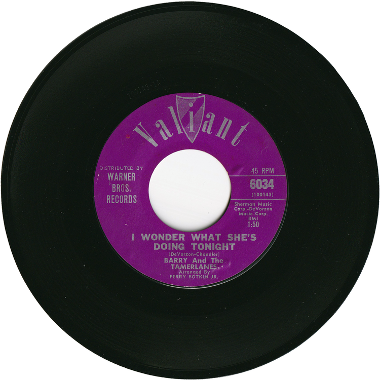 Barry & The Tamerlanes - I Wonder What She's Doing Tonight / Don't Go