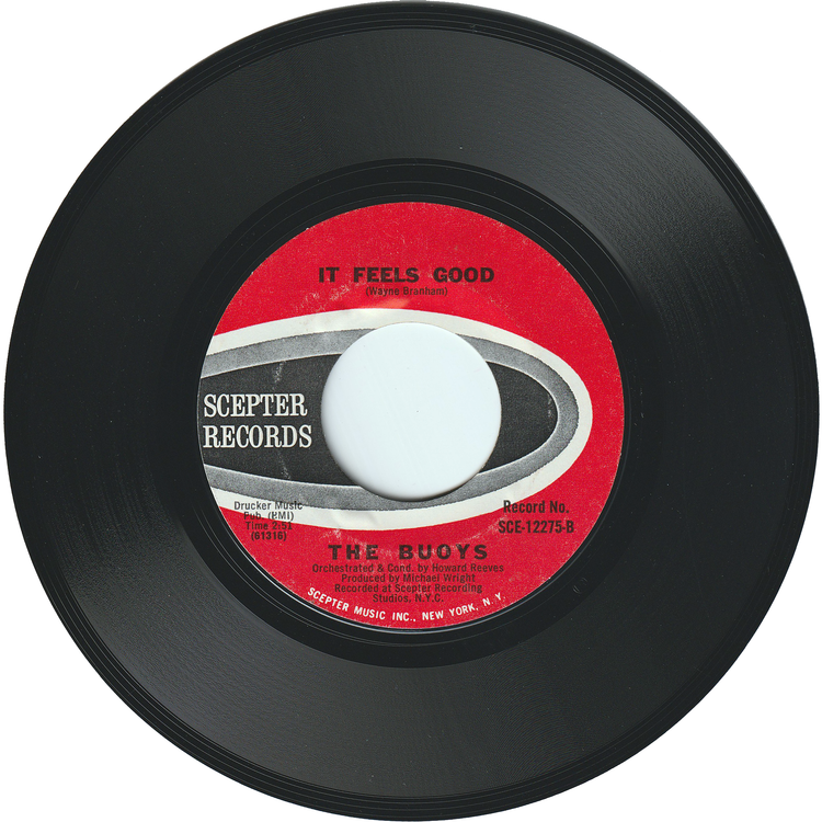 The Buoys - Timothy / It Feels Good [Cracked]