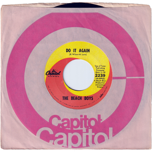 The Beach Boys - Do It Again / Wake The World