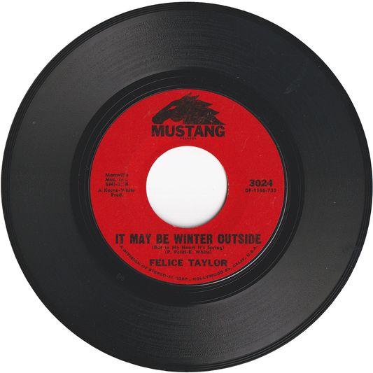 Felice Taylor - It May Be Winter Outside (But In My Heart It's Spring) / Winter Again [Styrene]
