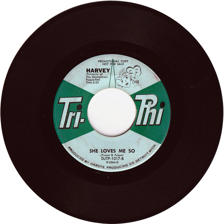 Harvey - (Dance) Any Way You Wanta / She Loves Me So [Promo, Vinyl, Monarch Pressing]