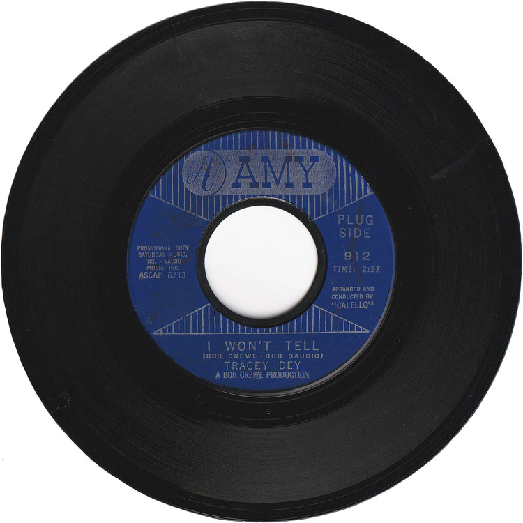 Tracey Dey - I Won't Tell / Any Kind Of Love [Promo]