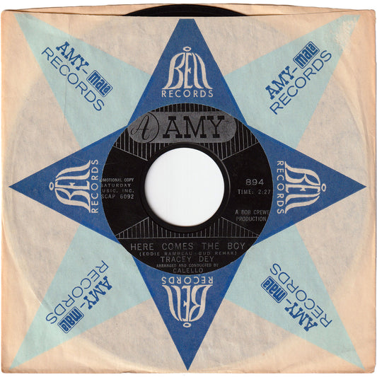 Tracey Dey - Here Comes The Boy / Teddy's The Boy I Love [Promo]