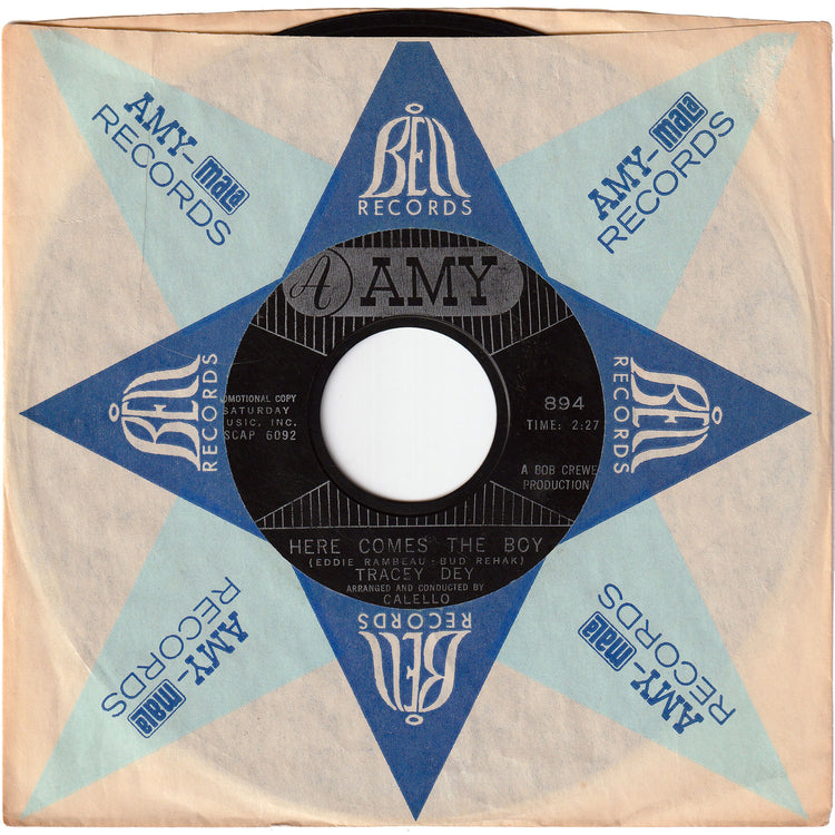 Tracey Dey - Here Comes The Boy / Teddy's The Boy I Love [Promo]