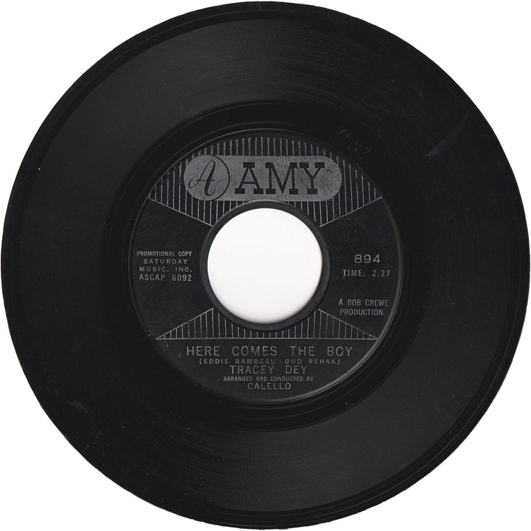 Tracey Dey - Here Comes The Boy / Teddy's The Boy I Love [Promo]