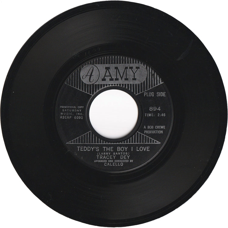Tracey Dey - Here Comes The Boy / Teddy's The Boy I Love [Promo]