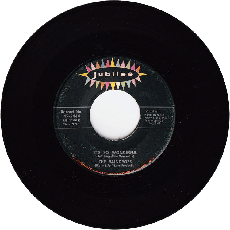 The Raindrops - What A Guy / It's So Wonderful