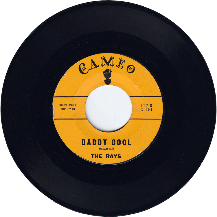 The Rays - Silhouettes / Daddy Cool
